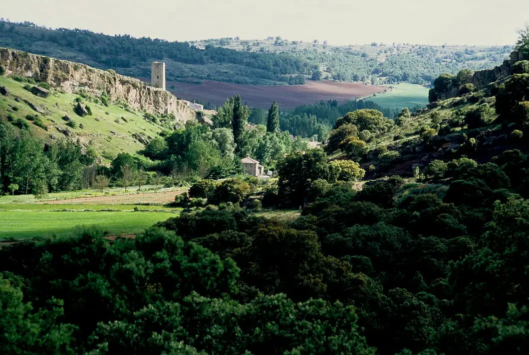 The outskirts of Anguita among wooded hillsides, vegetable gardens and village buildings.