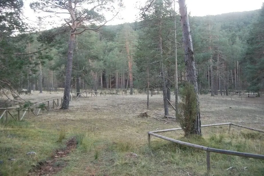Área recreativa Fuente la Rana, Orea