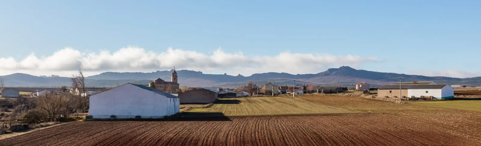 Panoramic view of Campillo de Dueñas among cultivated fields, with the church standing out among the houses.