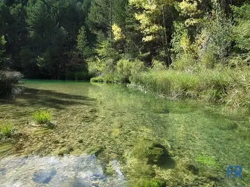 Circular por la ribera del Tajo en Peralejos, Peralejos de las Truchas