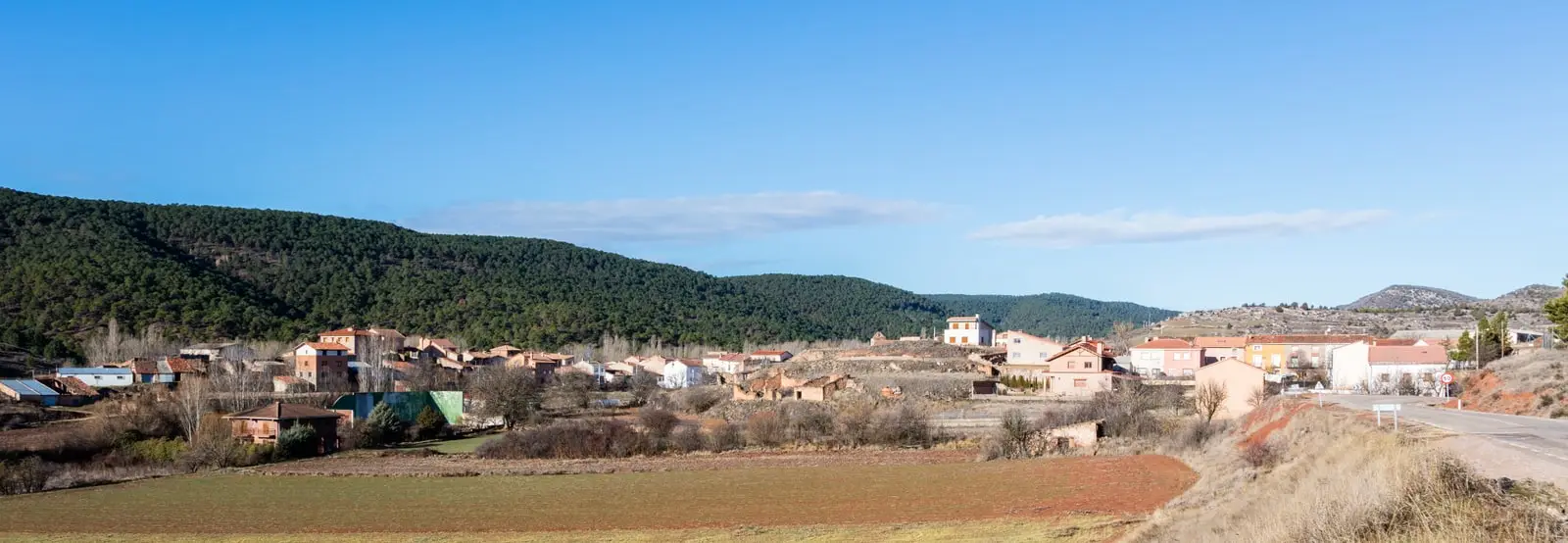 Panoramic view of Corduente, Guadalajara, with houses between pine woods and fields.