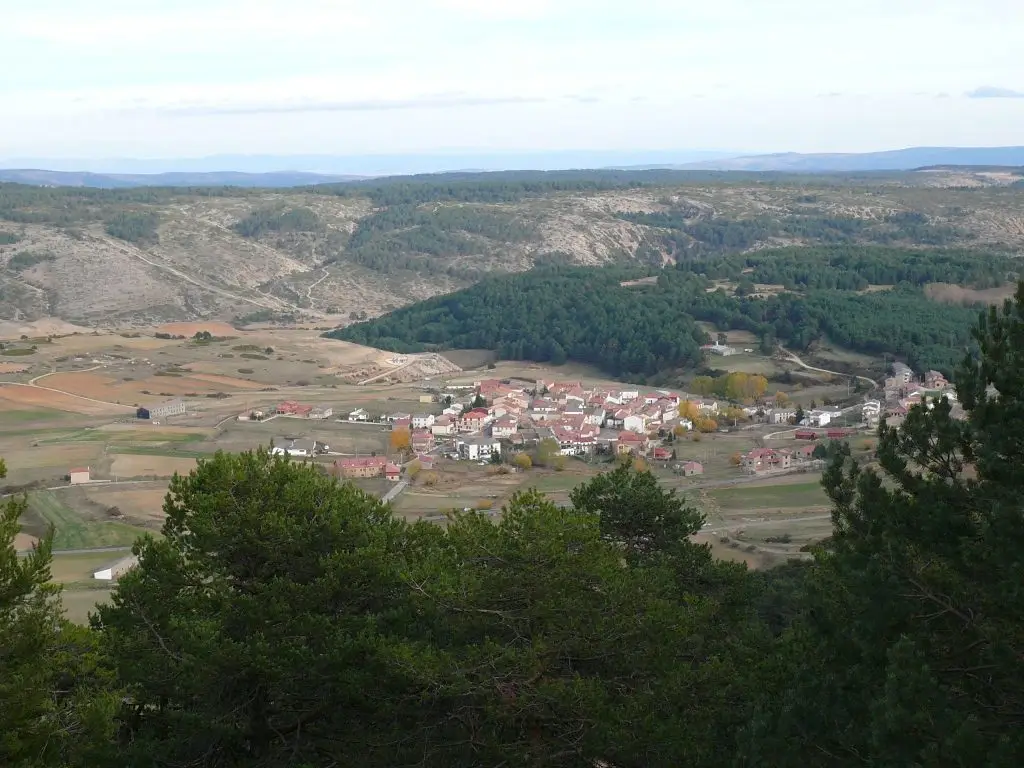 Vista de Griegos desde el alto de la Muela de San Juan, rodeado por pinares y campos.