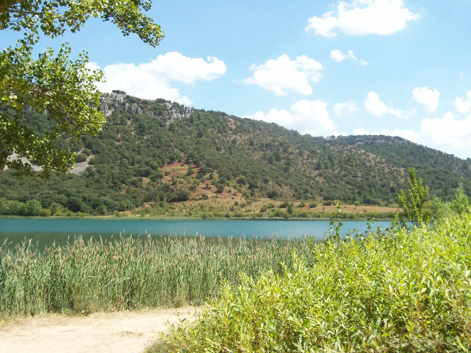 Vista de la Laguna de El Tobar, con la lámina de agua y laderas arboladas.