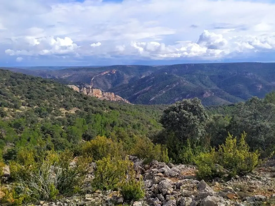 Mirador de Buenafuente, Buenafuente del Sistal
