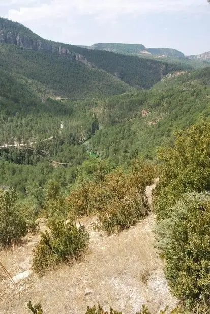 Mirador de Fina, Taravilla