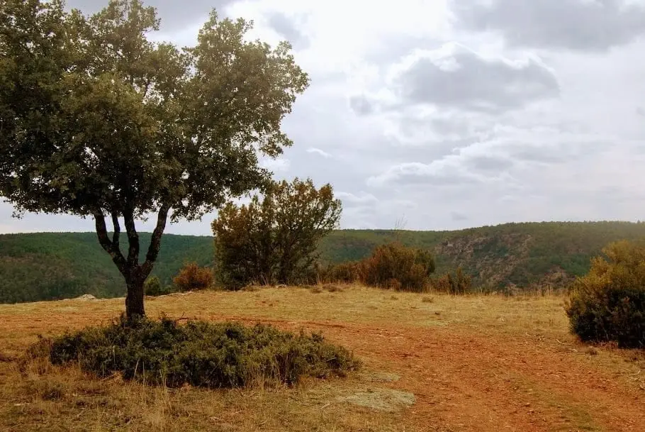 Mirador del Puntal del Pancho, Lebrancón