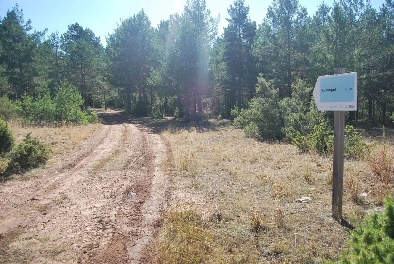 Muela Pinilla y del Puntal, Masegosa