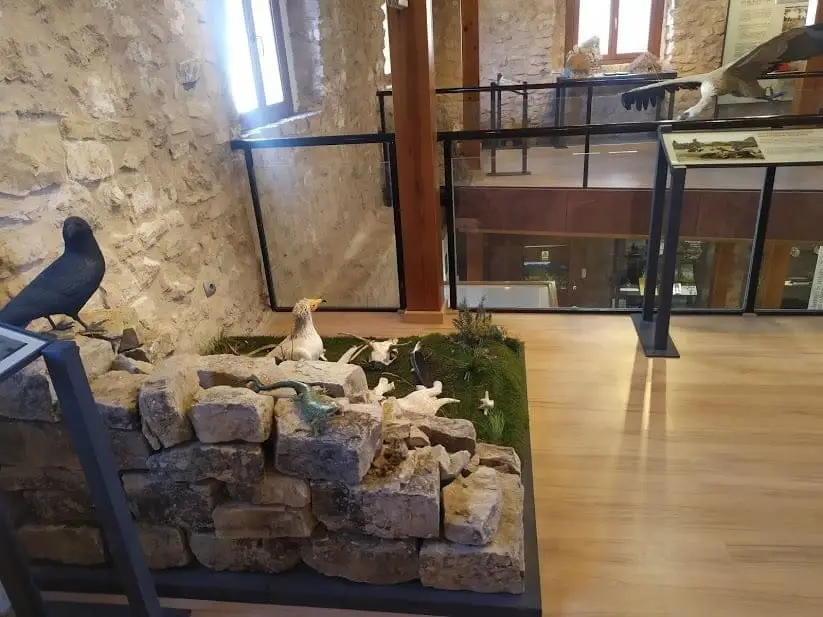 Museo de la ganadería tradicional del Alto Tajo, Checa