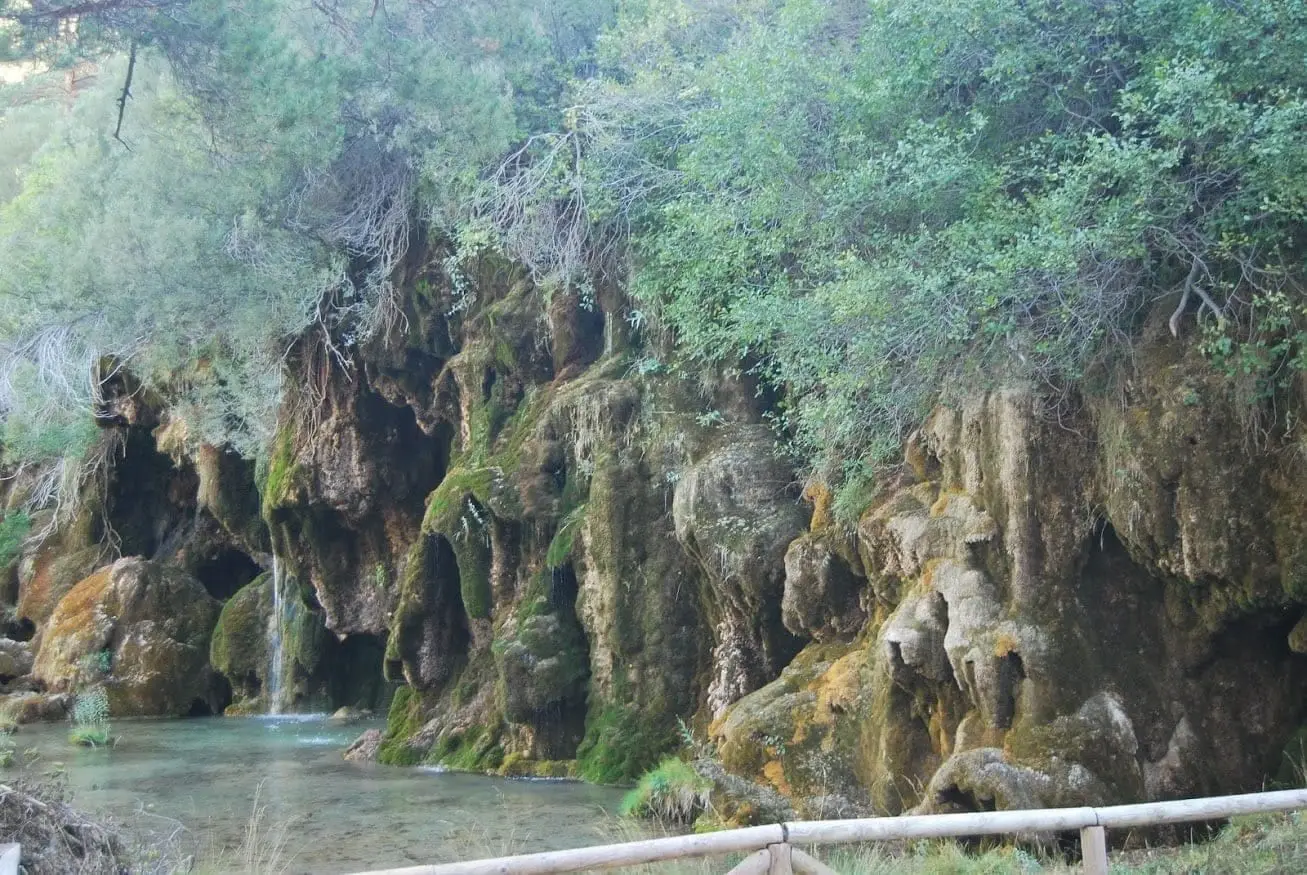 Nacimiento del río Cuervo, Vega del Codorno