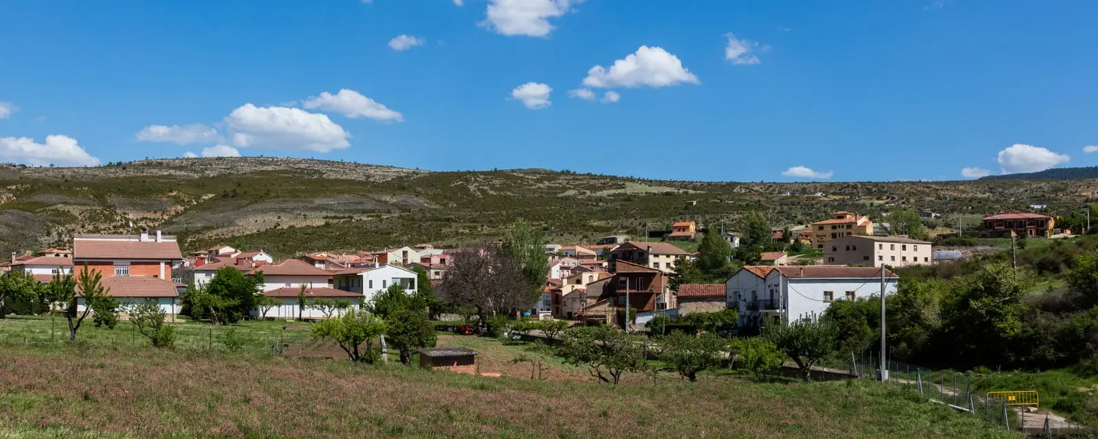 Panoramic view of Peralejos de las Truchas, Guadalajara, with houses clustered on the hillside and vegetable gardens in front.