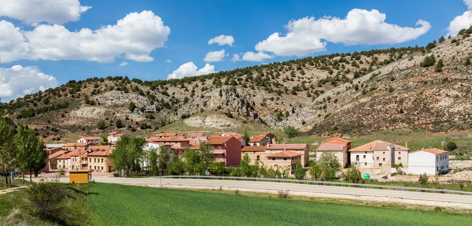 Pinilla de Molina at the foot of a rocky hillside, with houses beside fields.