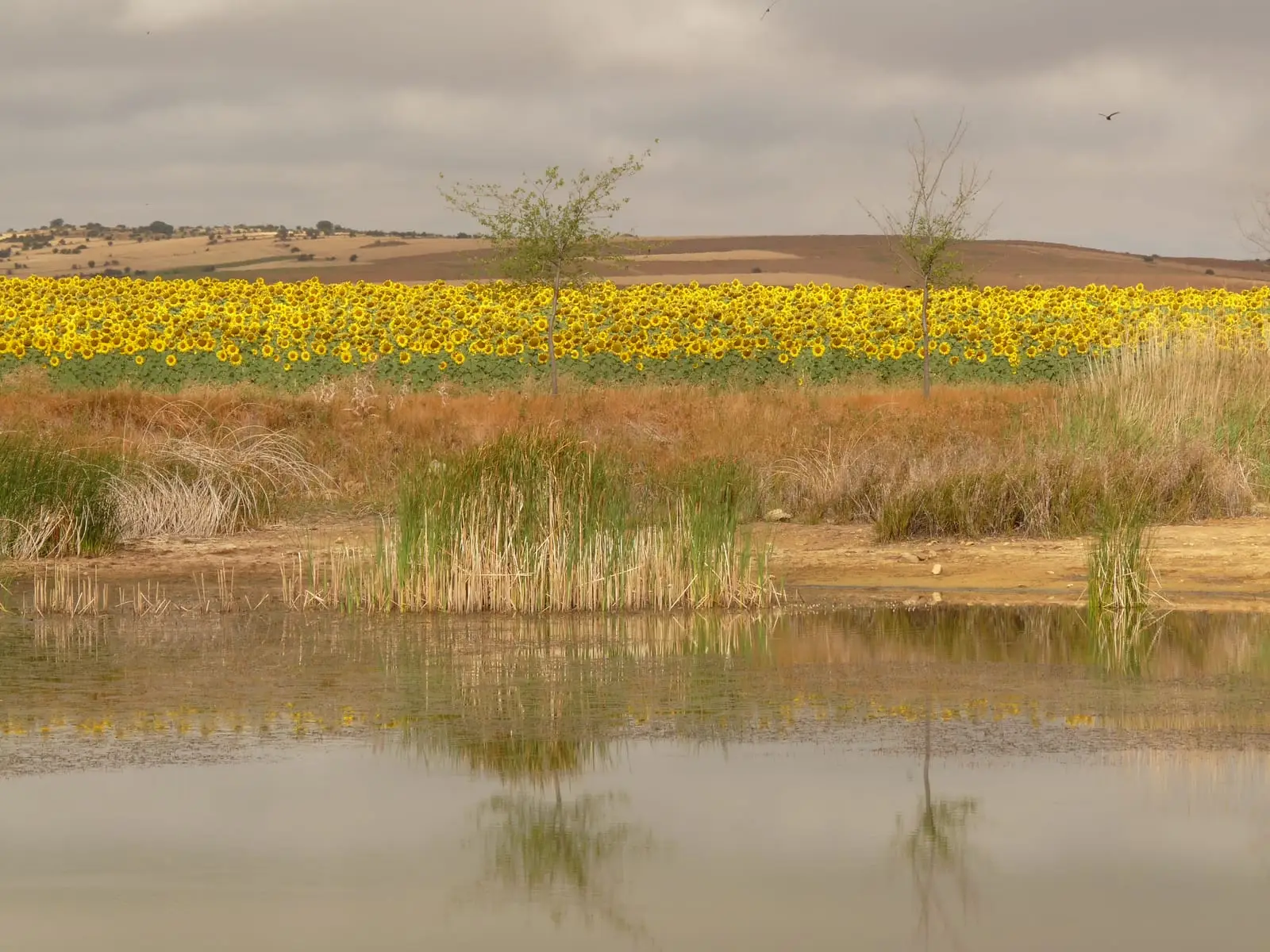 Laguna de Setiles junto a la zona de inicio de la Ruta de la Minería Histórica.