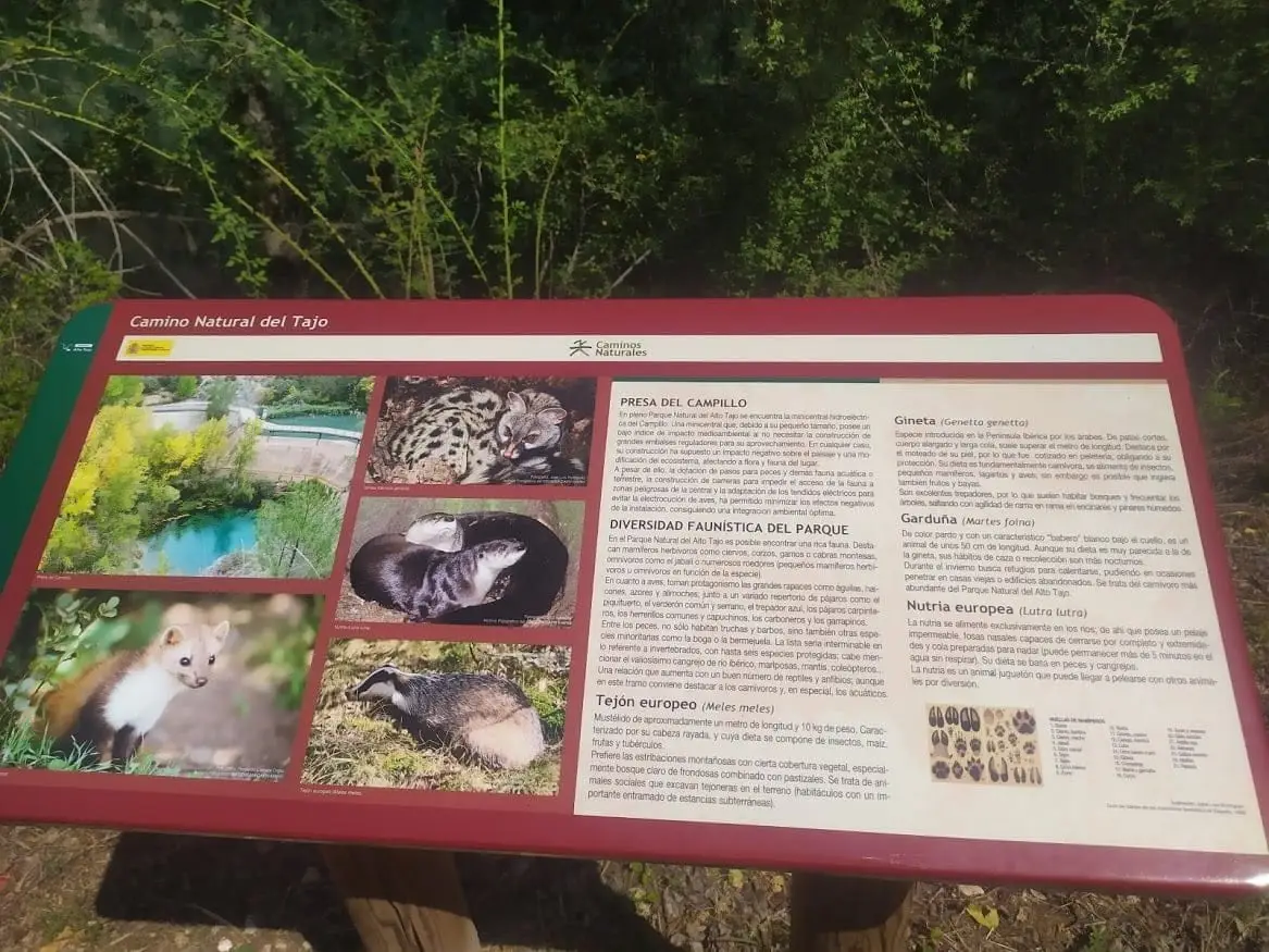 Presa de la Rocha, Zaorejas
