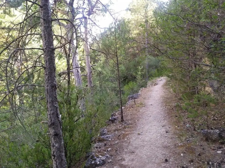 RG PNAT 10 Ruta del Barranco del Horcajo, Masegosa