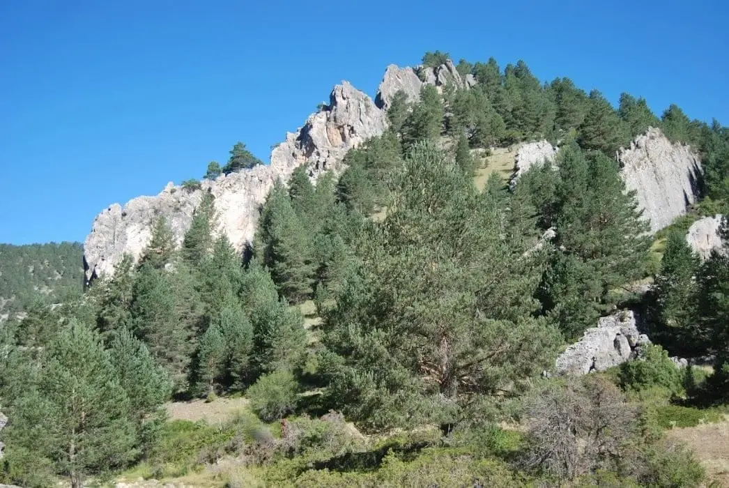 Ruta de la Rambla Malilla, Checa