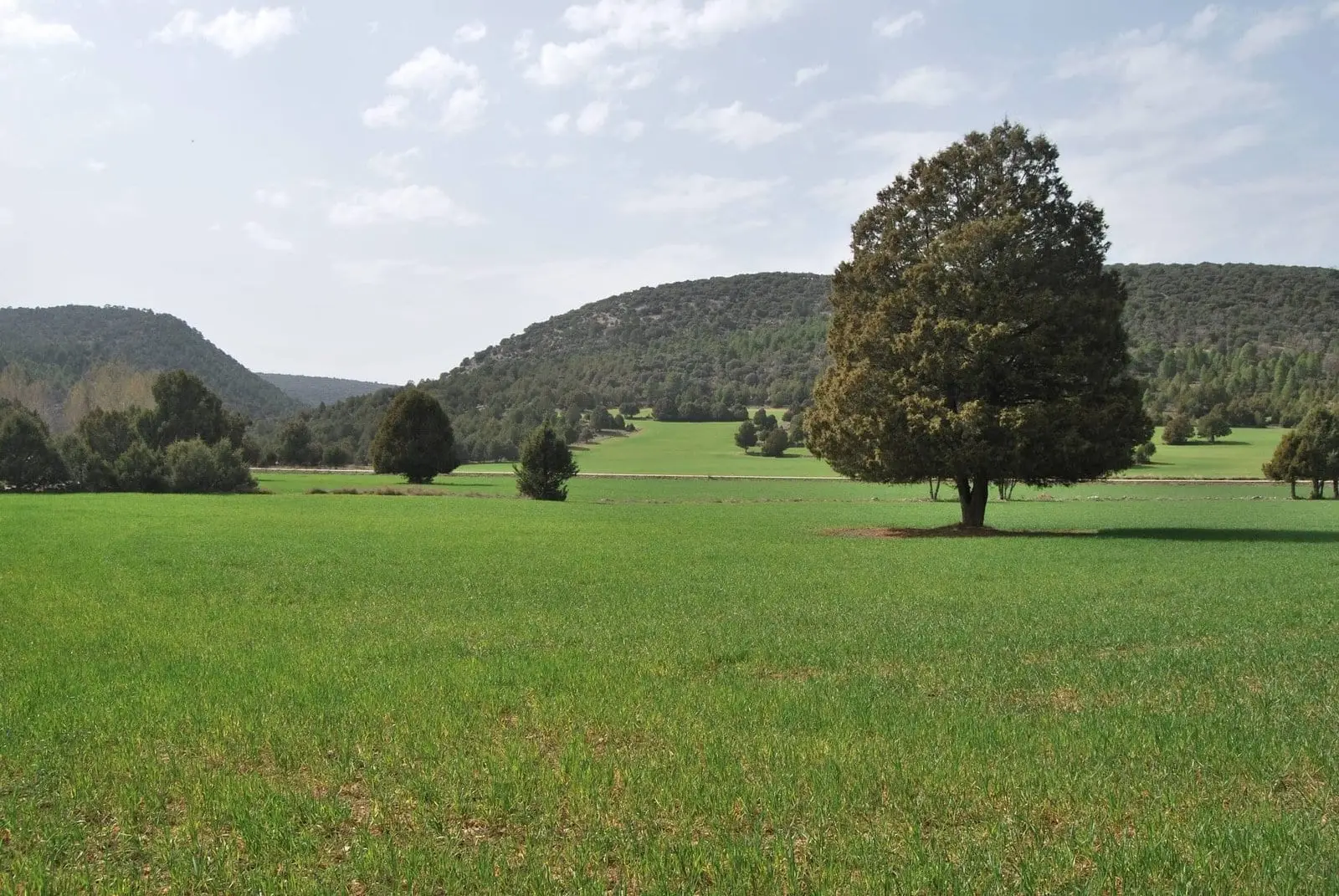 RE PNAT 01 Ruta de los Chozones de Ablanque, Ablanque