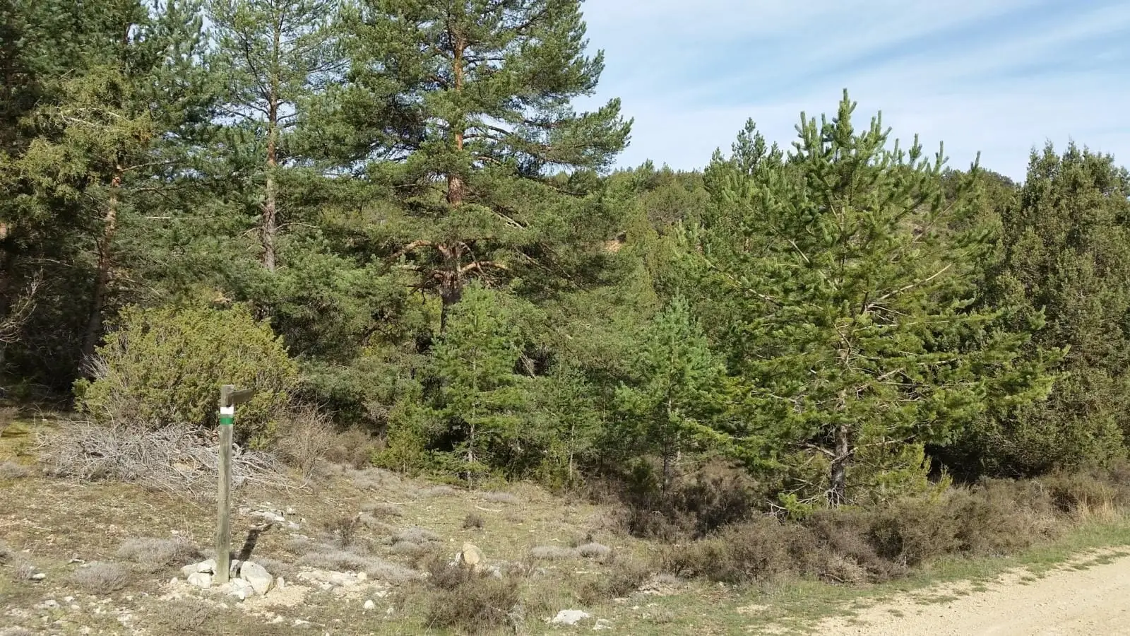 SL PNAT 9 Ruta del Barranco (Terzaga), Terzaga