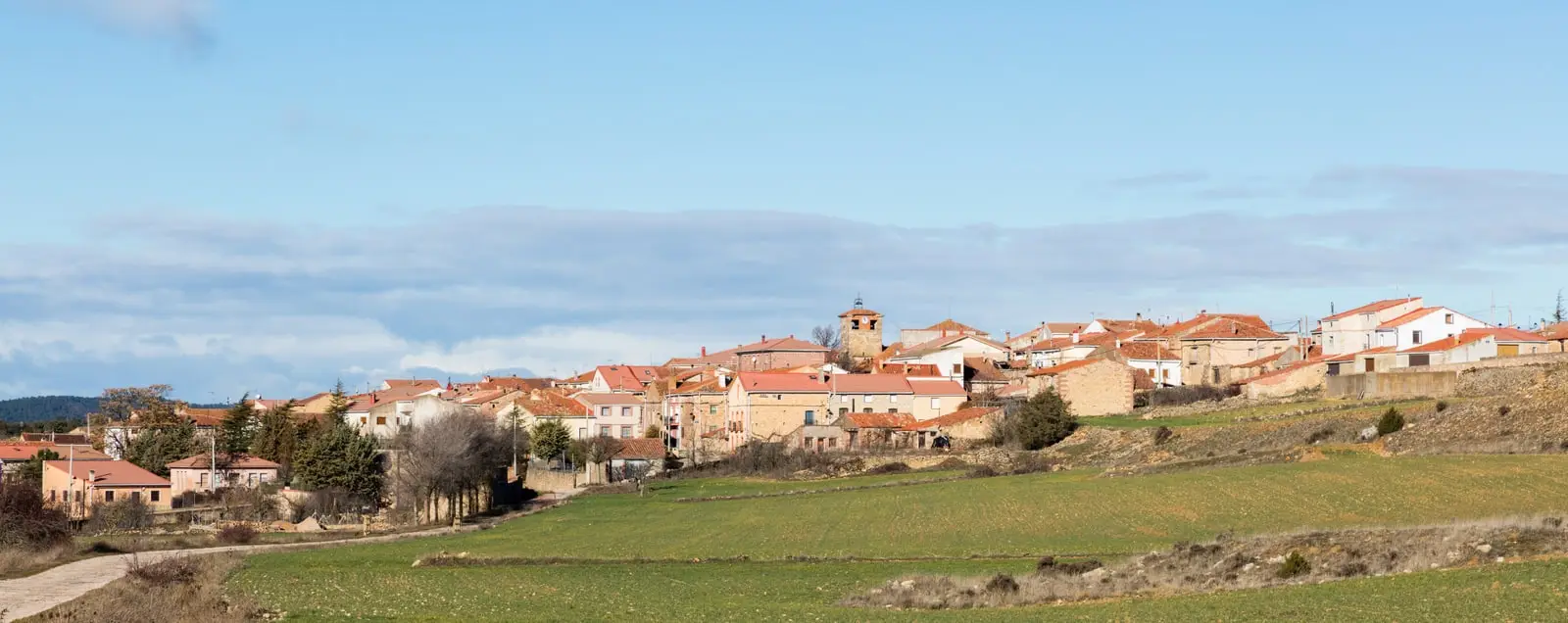 Panoramic view of Torremocha del Pinar’s houses among fields and hillsides.