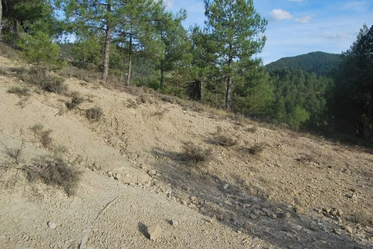 Yacimiento de fósiles de Cuevas Labradas, el Alto Tajo