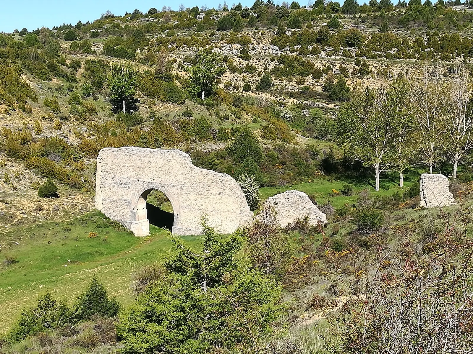 Remains of Zaorejas aqueduct with its stone arch and vegetation on a hillside.
